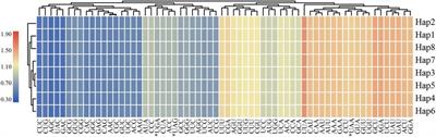 Heterogeneous Genetic Diversity Estimation of a Promising Domestication Medicinal Motherwort Leonurus Cardiaca Based on Chloroplast Genome Resources